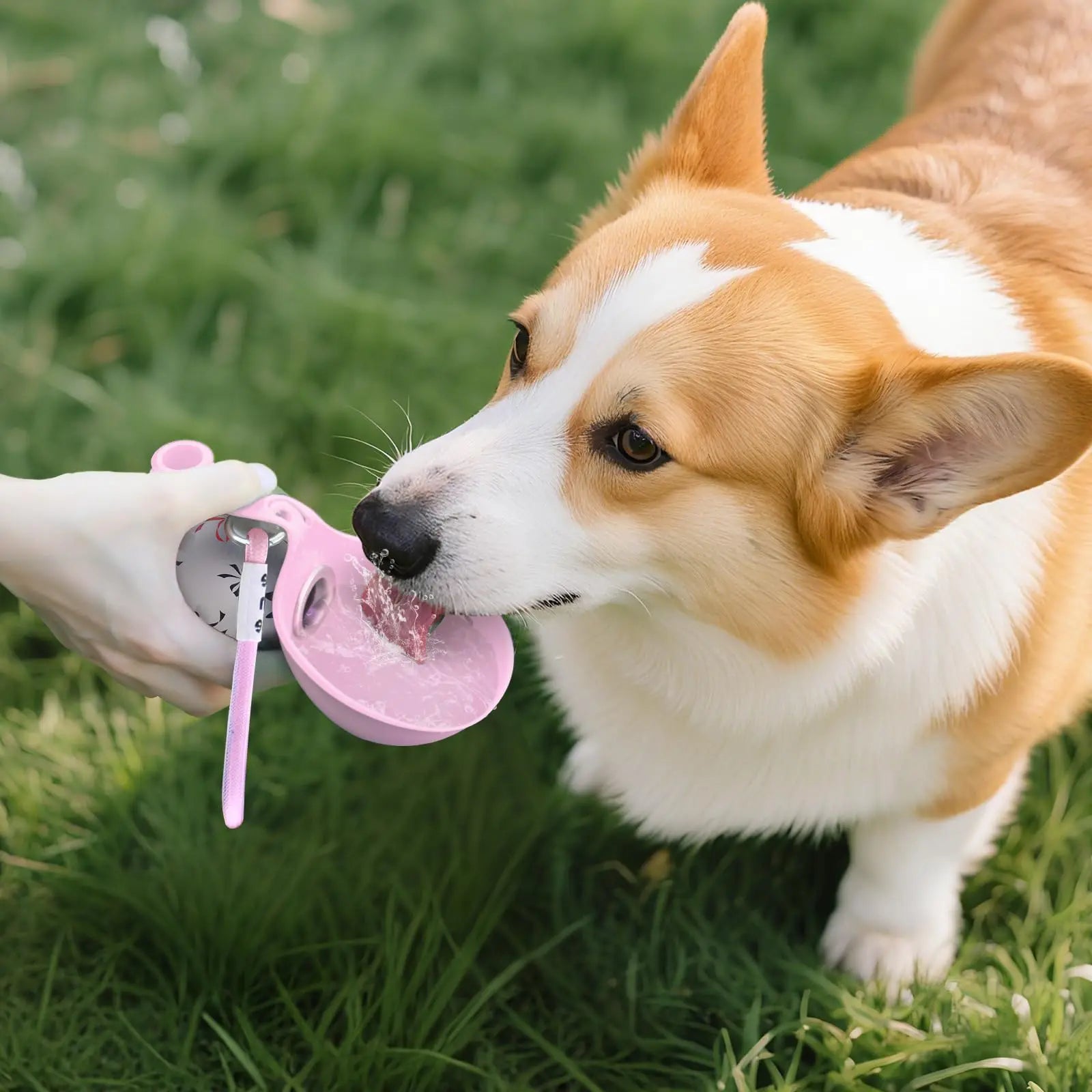 Portable Leak-Proof Dog Travel Water Bottle
