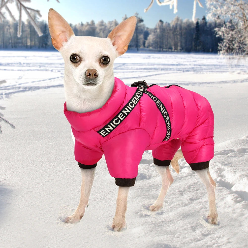 Super Warm Waterproof Jumpsuit for Dogs