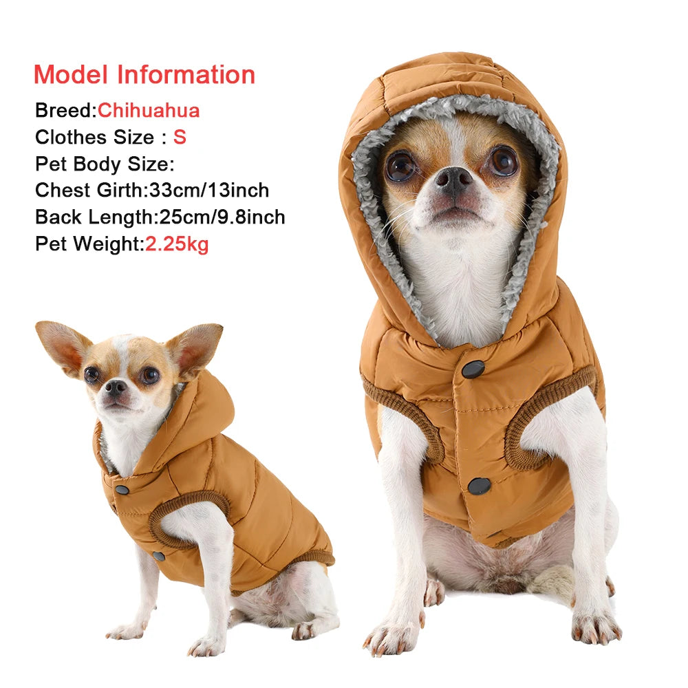Windproof Cozy Fleece Jacket for Cats