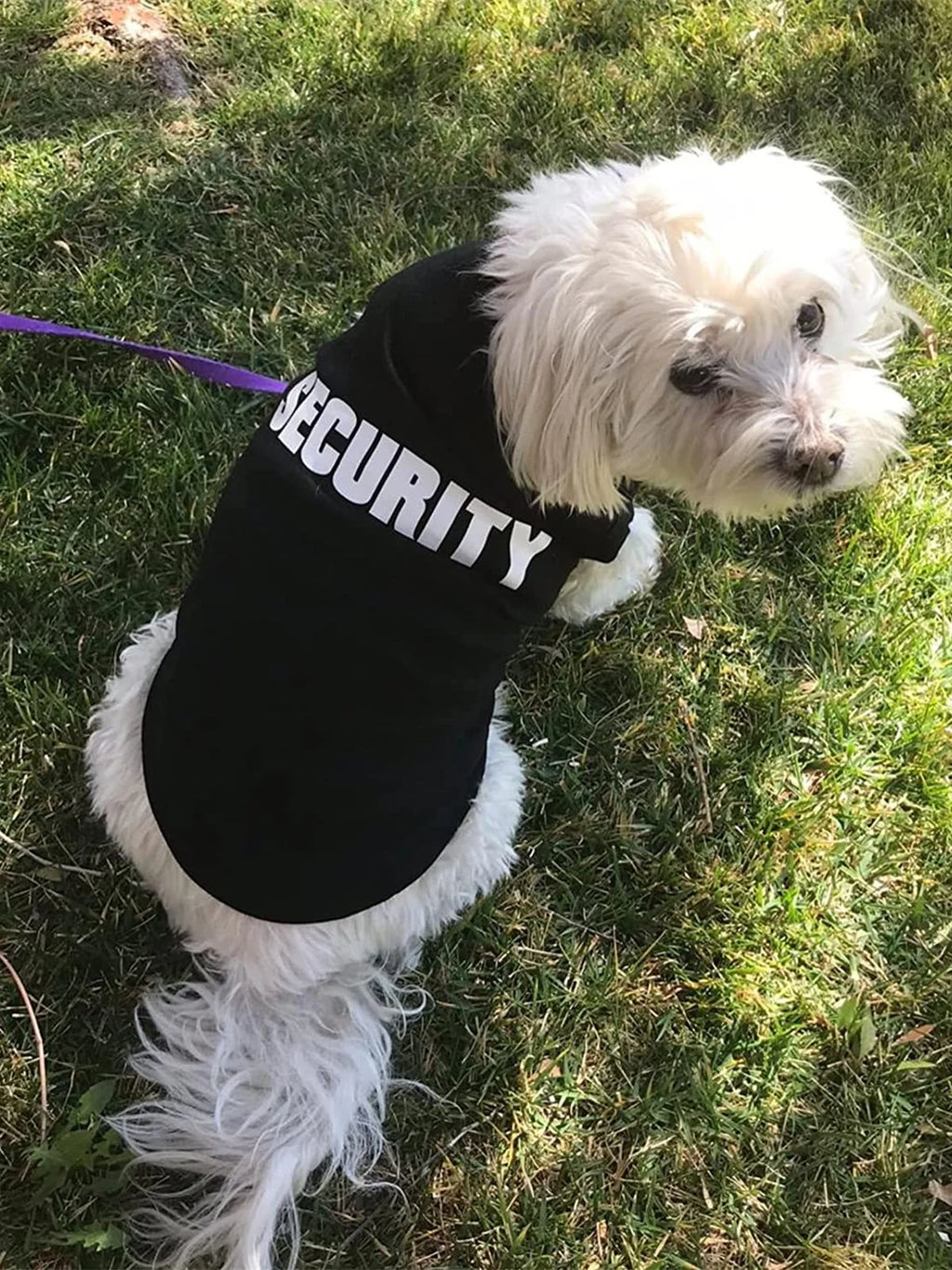 Lightweight Security Vest for Small Dogs