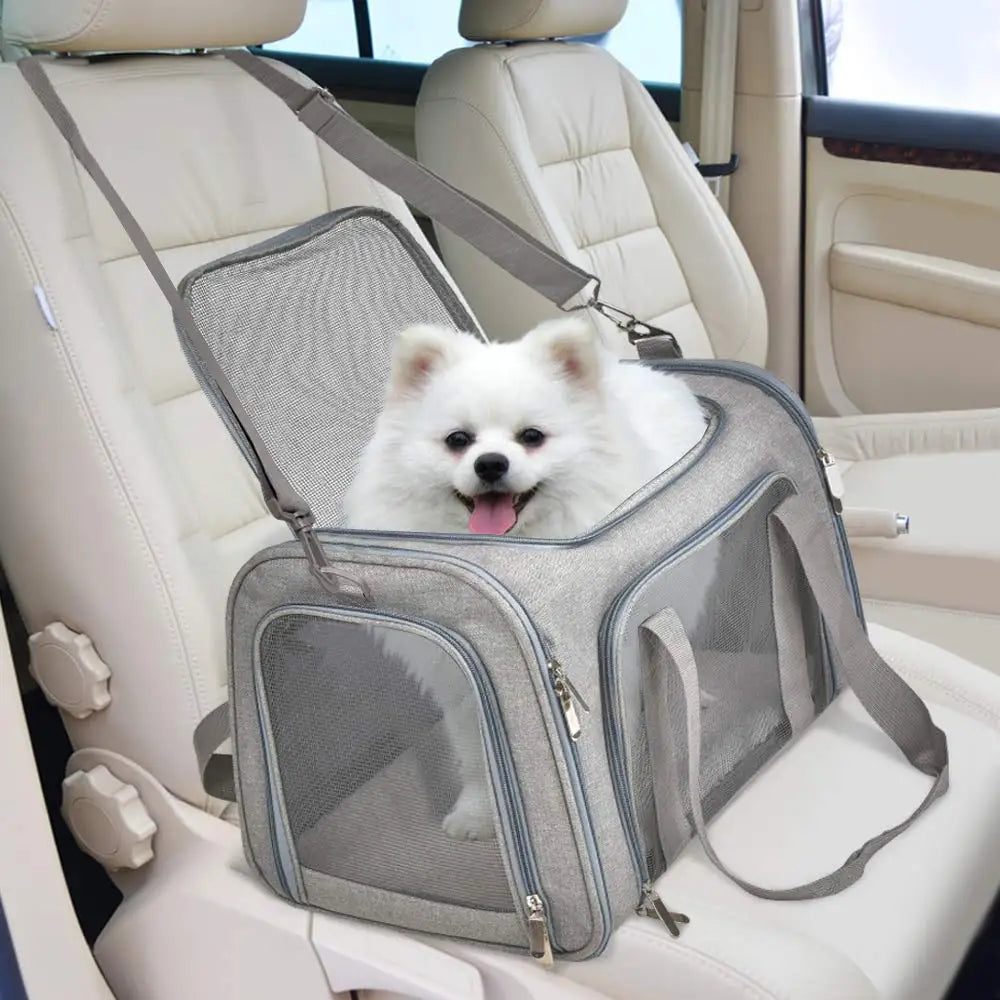 Airline-Approved Soft-Sided Pet Carrier