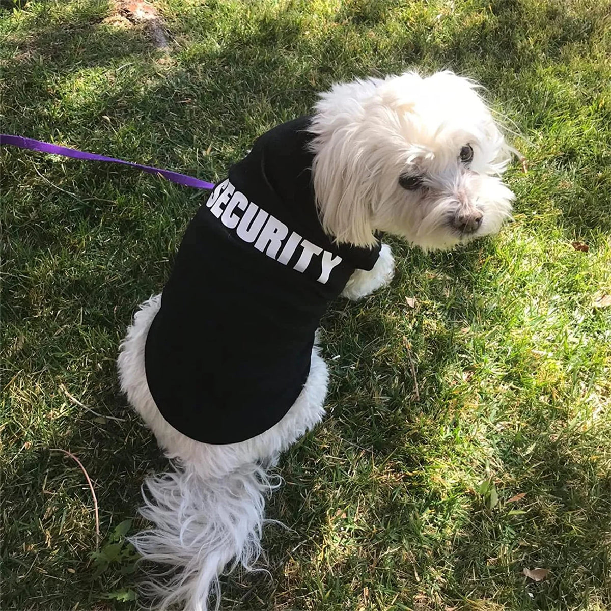 Lightweight Security Vest for Small Dogs