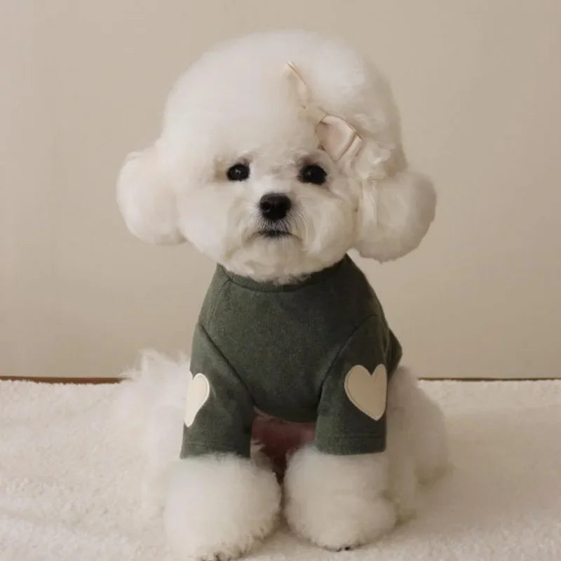 Cute Love Bear Hoodie for Pets