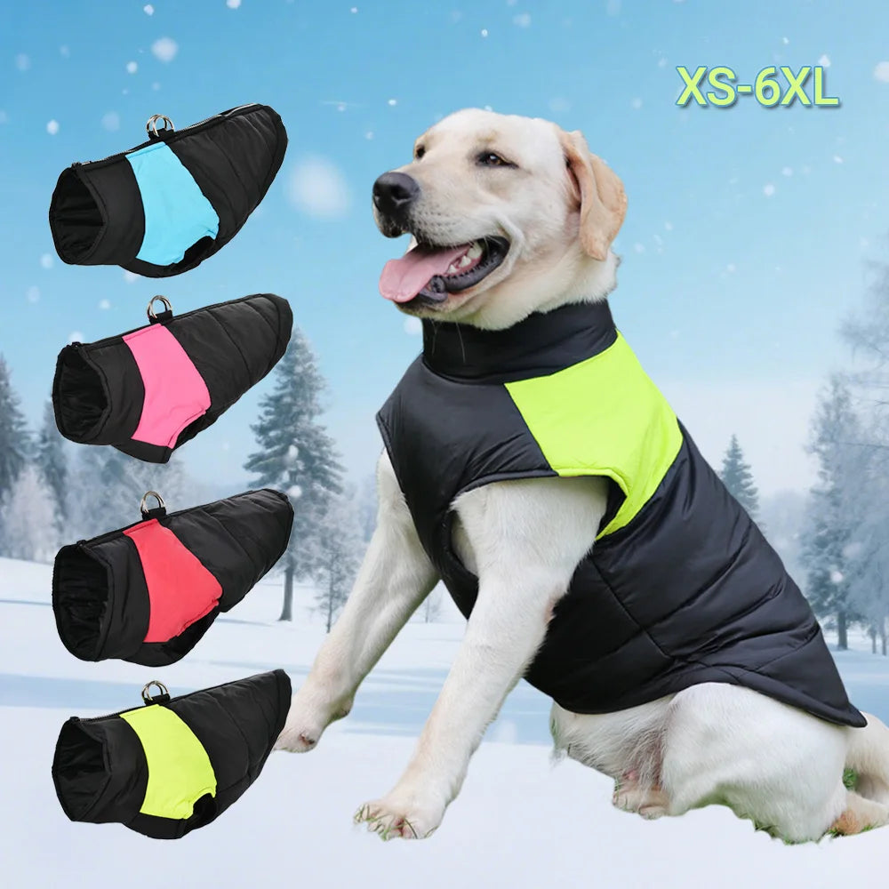 Windproof Waterproof Winter Jacket for Dogs