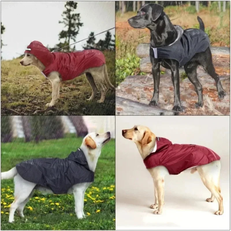 Waterproof Hooded Jacket with Reflective Stripe
