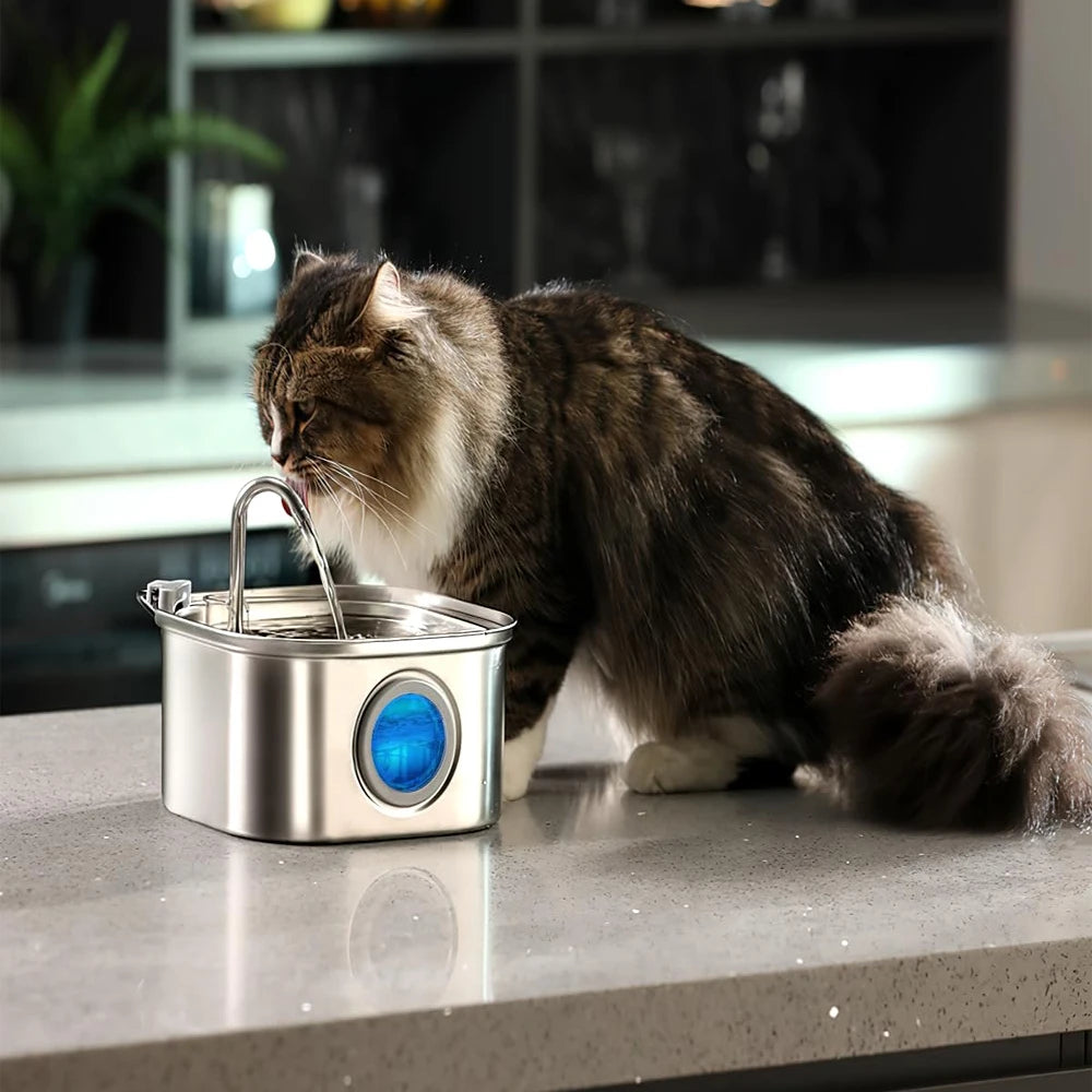 3.2L Smart Pet Water Fountain Dispenser