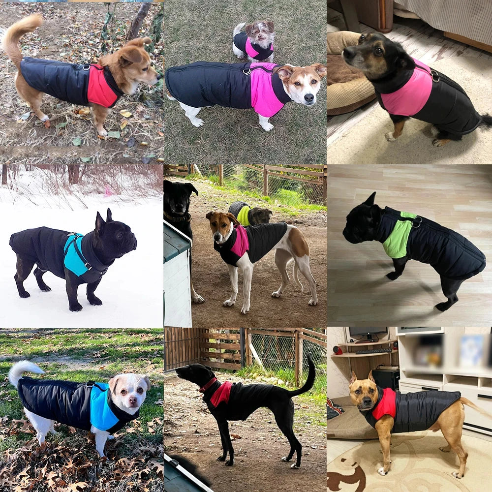 Windproof Waterproof Winter Jacket for Dogs