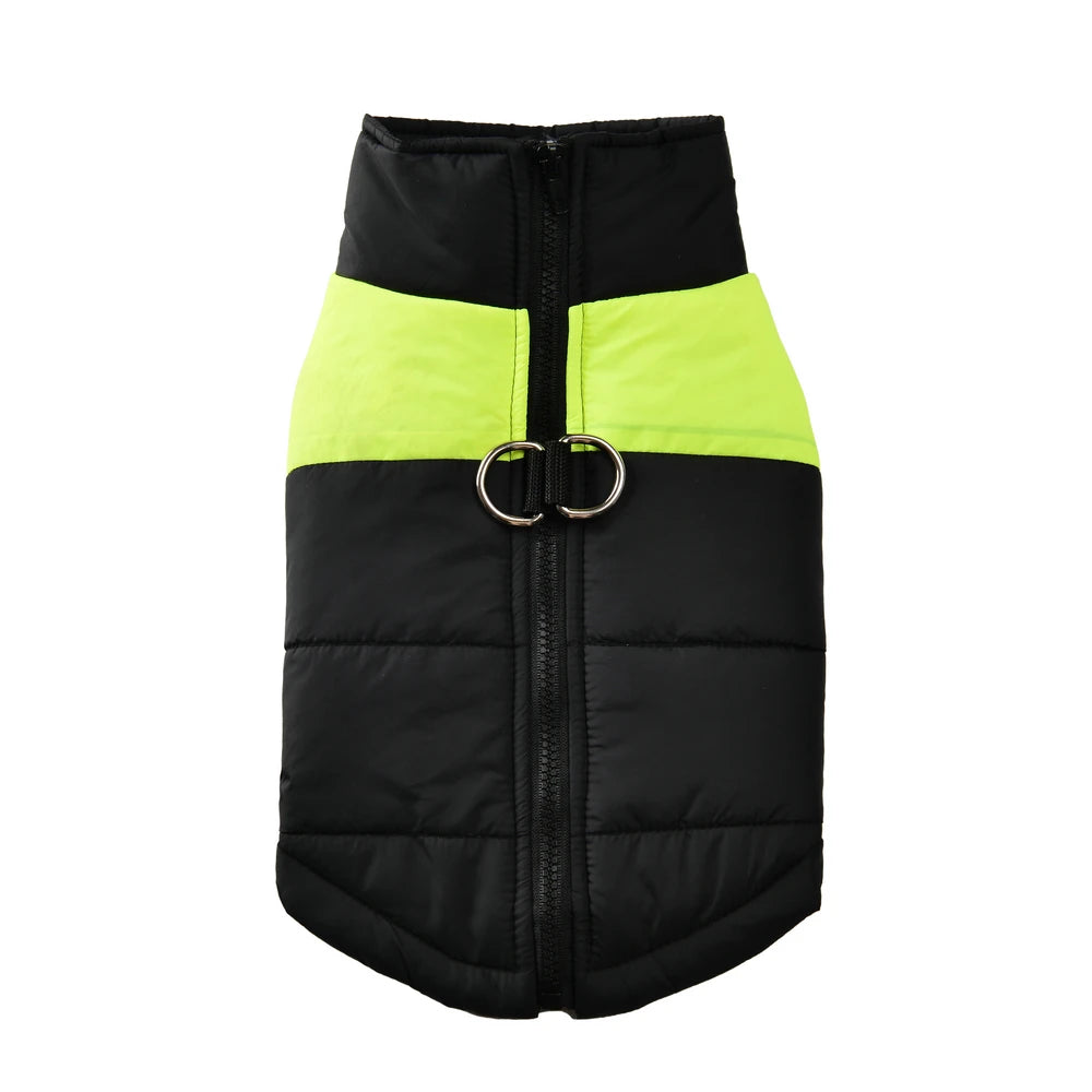 Windproof Waterproof Winter Jacket for Dogs