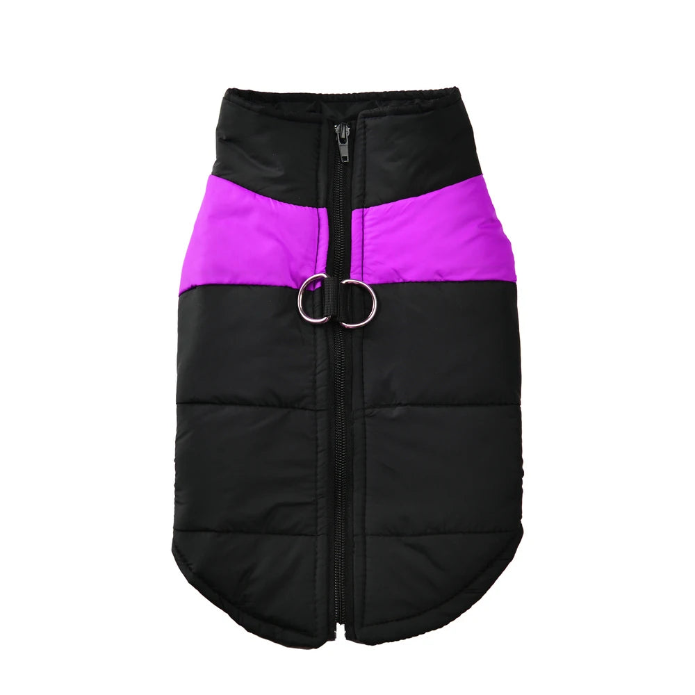 Windproof Waterproof Winter Jacket for Dogs