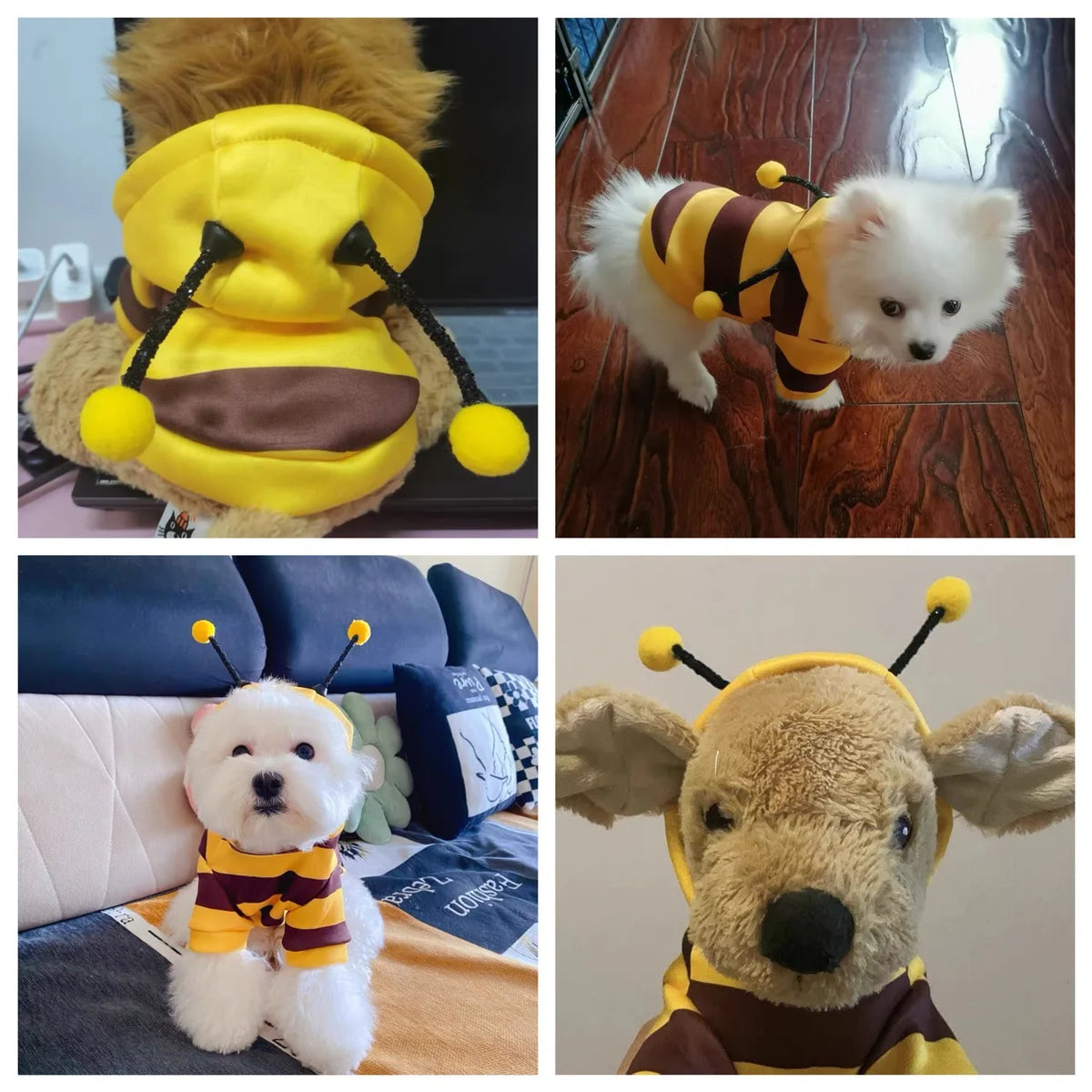 Cute Bee Hoodie Transformation Pet Suit