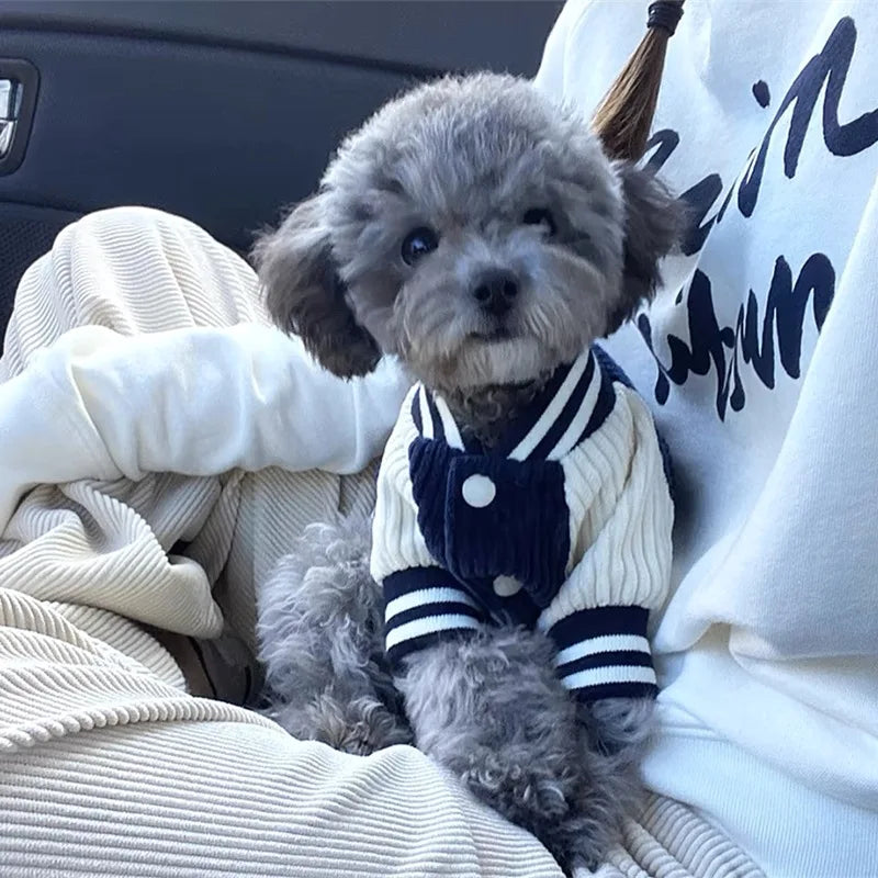 Embroidered Baseball Jacket for Small Pets