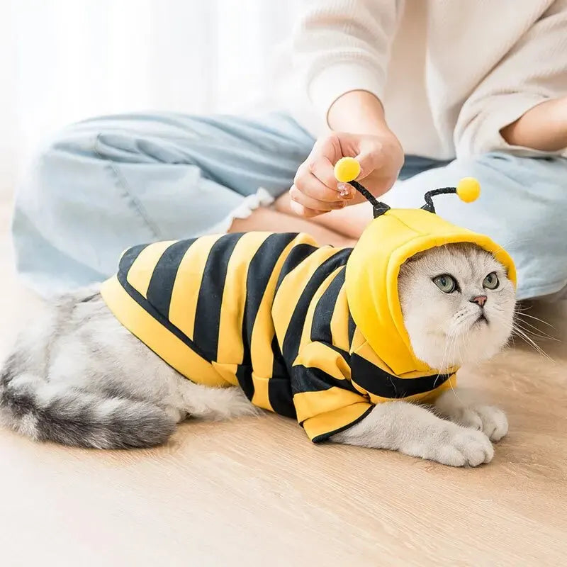 Cute Bee Hoodie Transformation Pet Suit