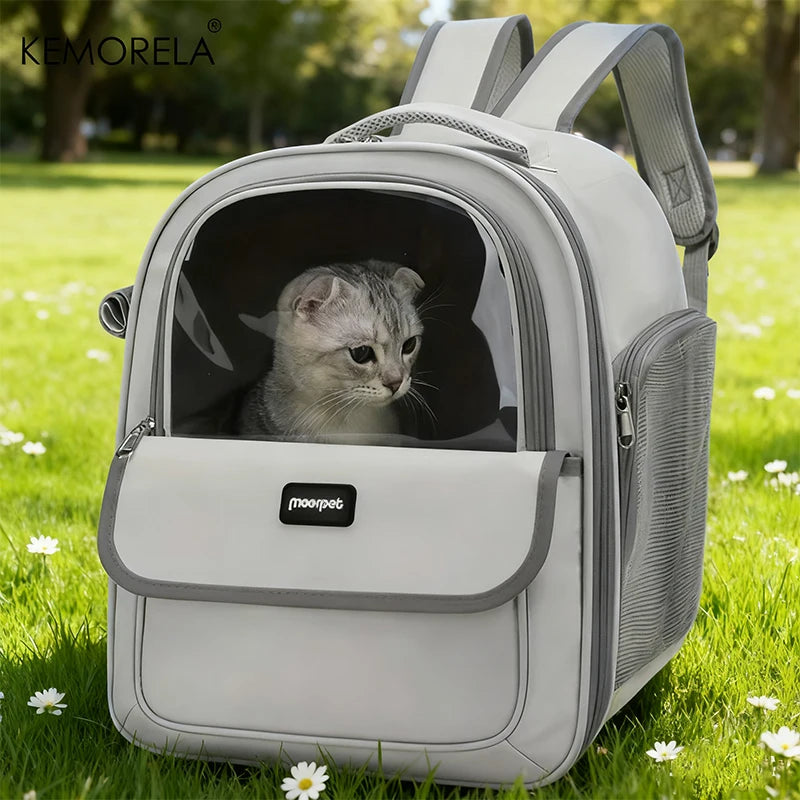 Foldable Mesh Pet Carrier Backpack