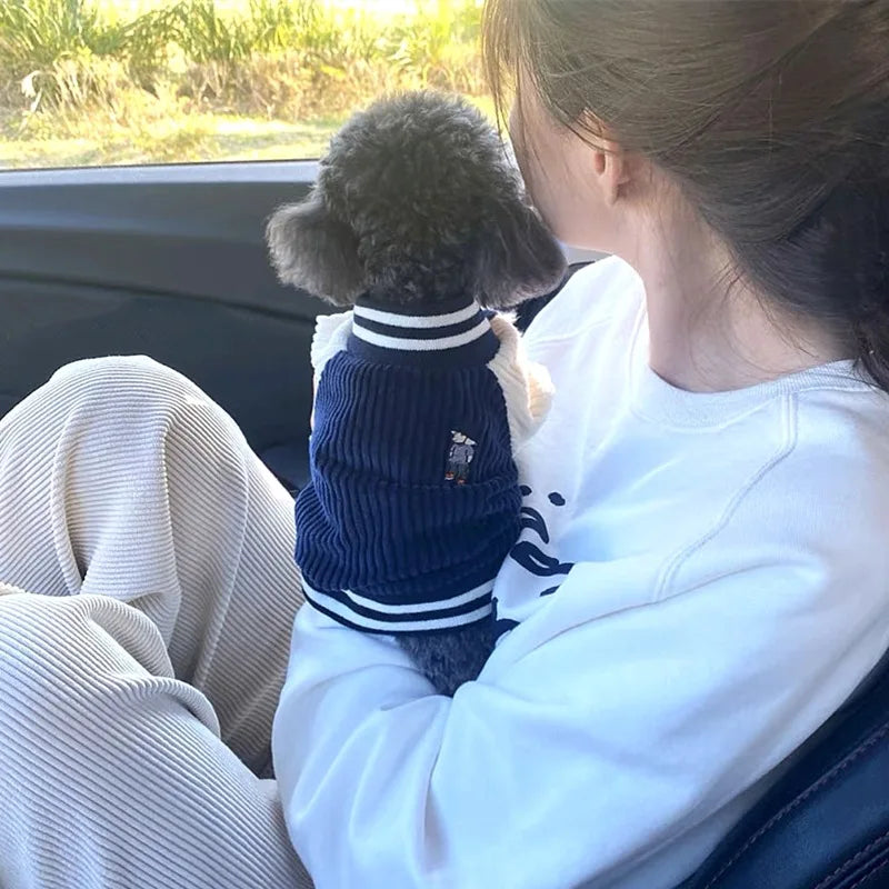 Embroidered Baseball Jacket for Small Pets