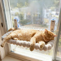 Cat Window Hammock Suction Cup Cozy Perch