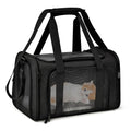 Airline-Approved Soft-Sided Pet Carrier