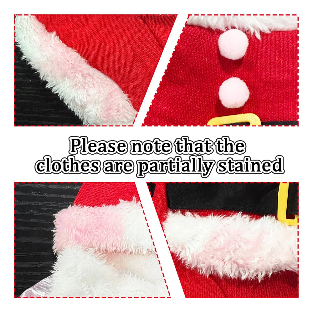 Festive Santa Costume for Small Dogs