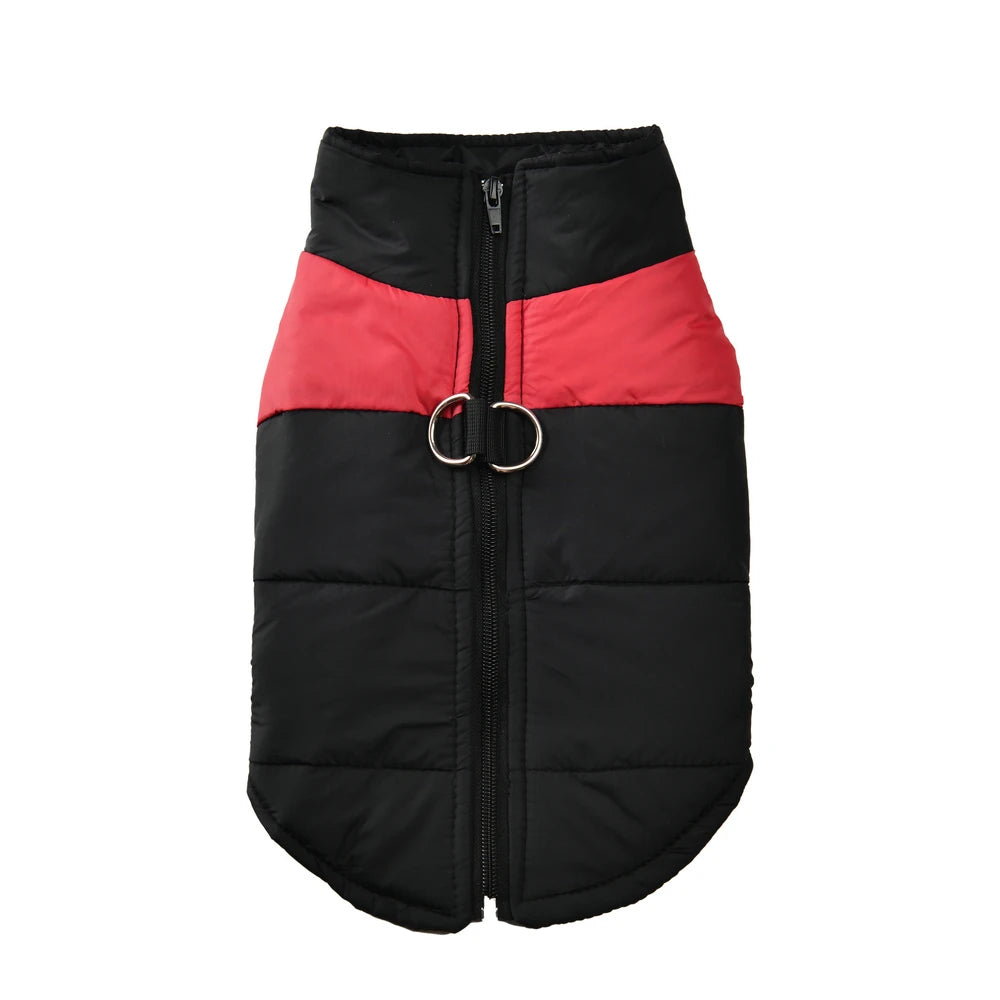 Windproof Waterproof Winter Jacket for Dogs