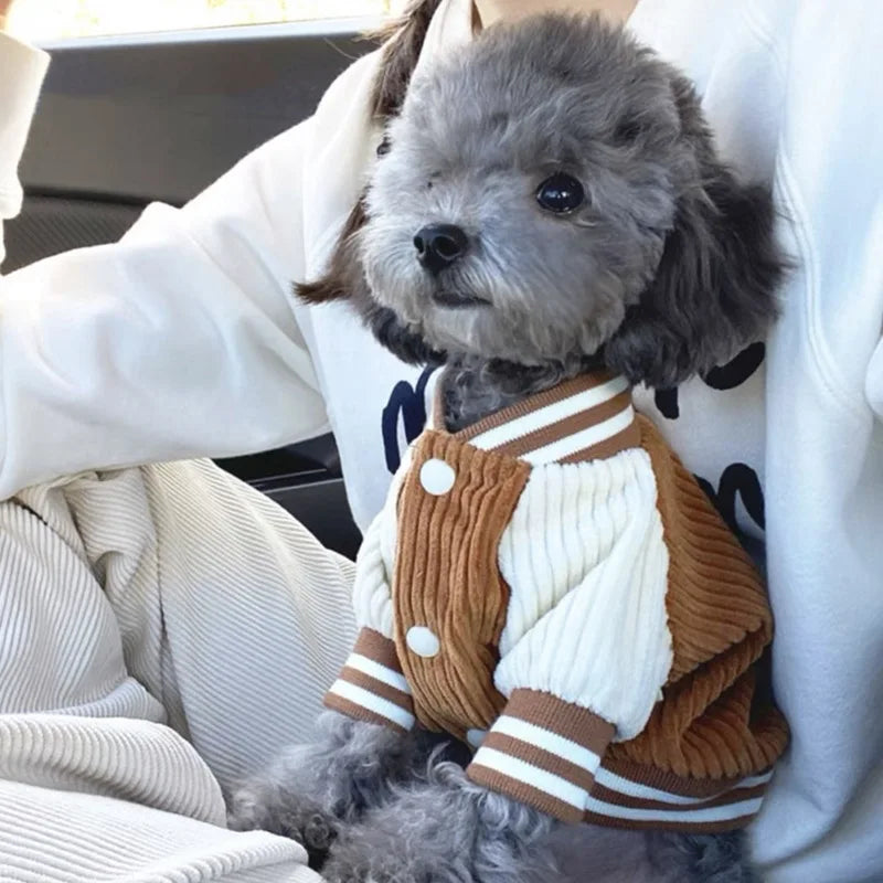 Embroidered Baseball Jacket for Small Pets