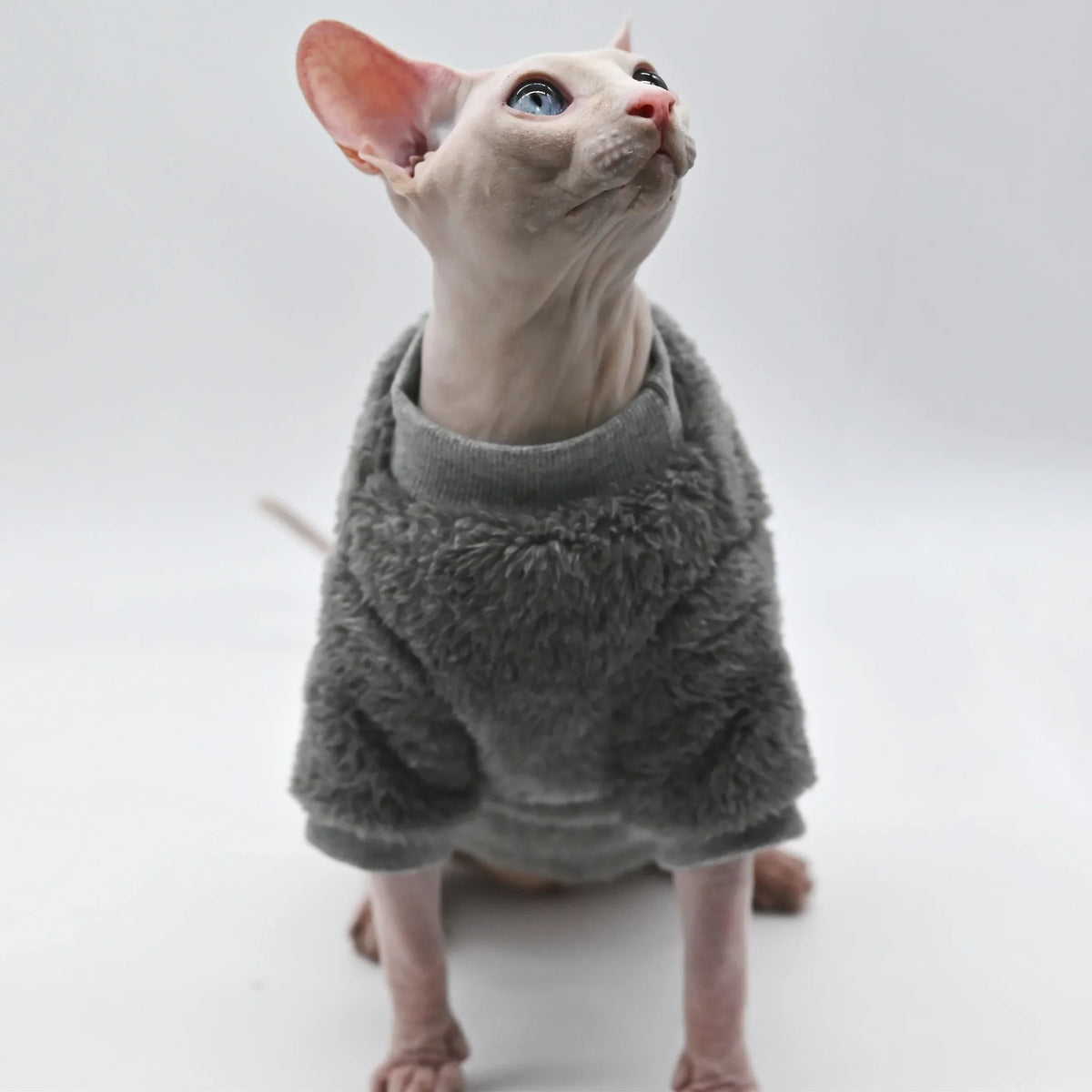 Double-Sided Fluffy Coat for Hairless Cats