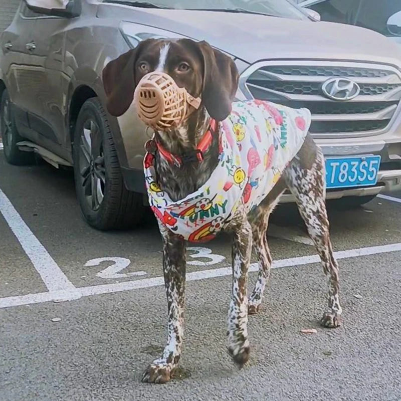 Waterproof Jacket for Large Breed Dogs