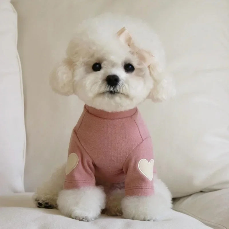 Cute Love Bear Hoodie for Pets