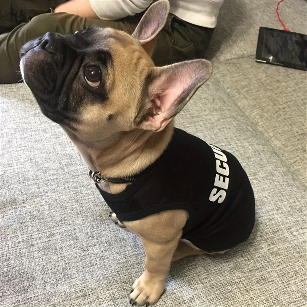 Lightweight Security Vest for Small Dogs