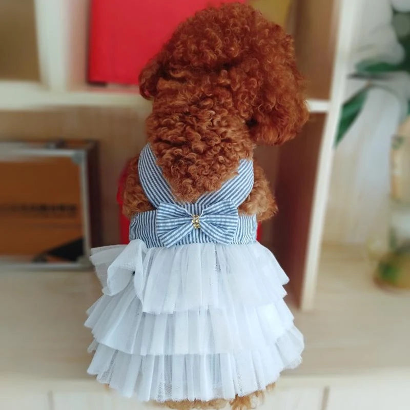 Lace Stripe Princess Dress for Dogs