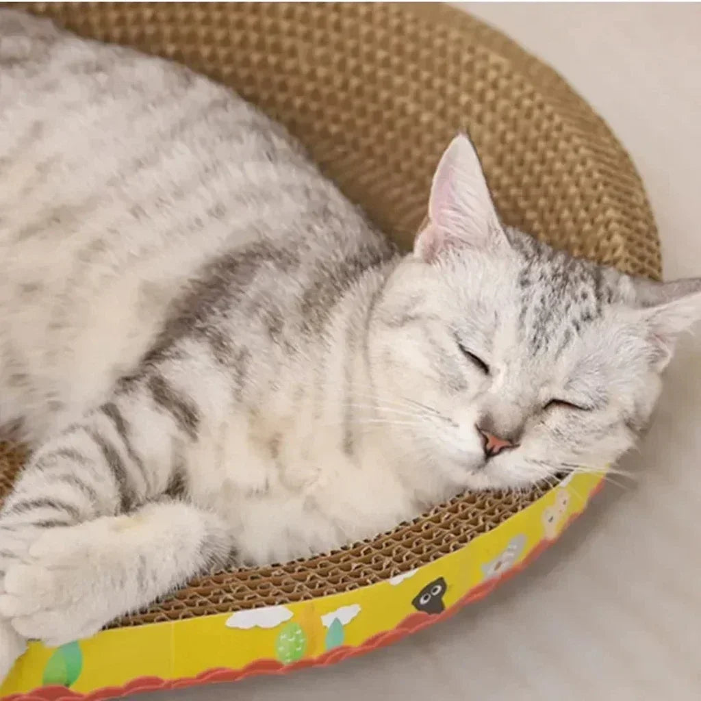 Cat Scratching Board Corrugated Claw Grinding Toy