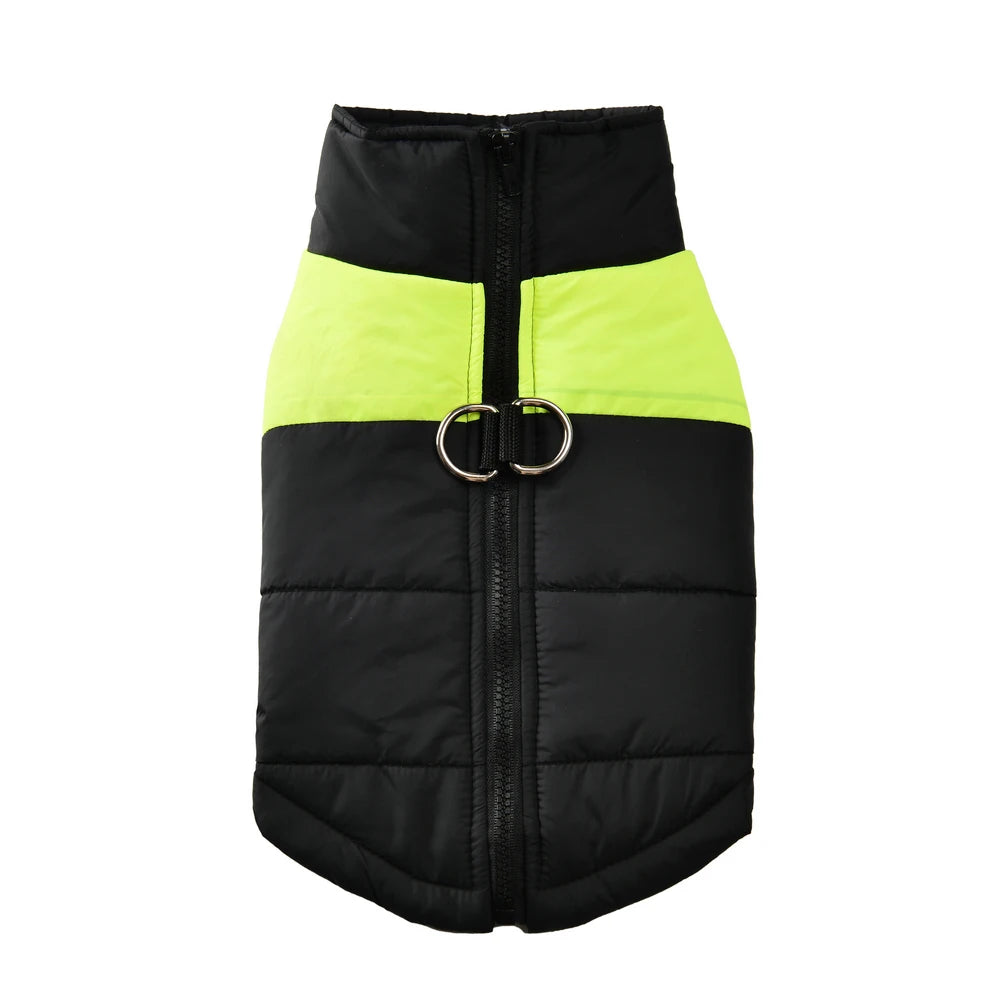 Windproof Waterproof Winter Jacket for Dogs