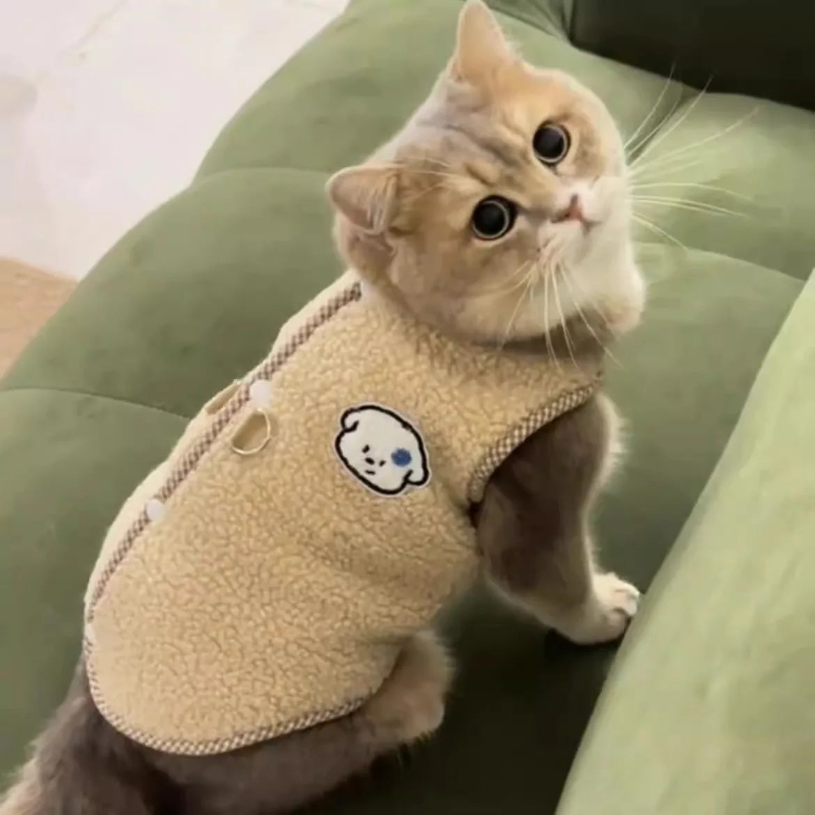 Fleece Dog Coat for Small Breeds