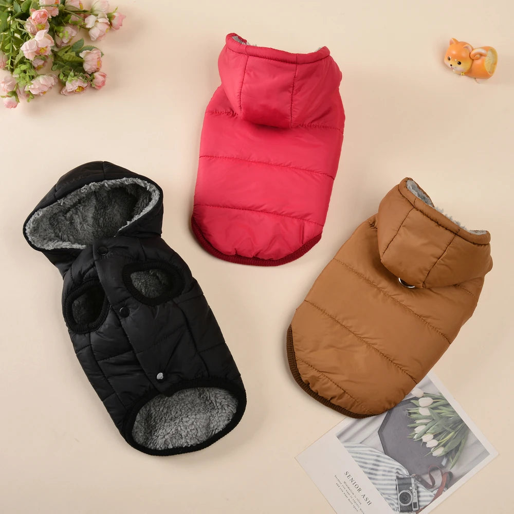 Windproof Cozy Fleece Jacket for Cats