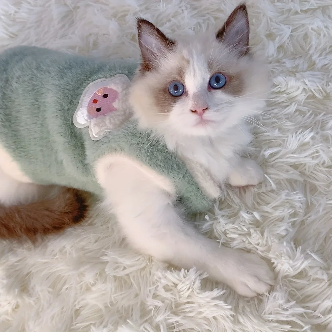 Cozy Winter Sweater Vest for Cats
