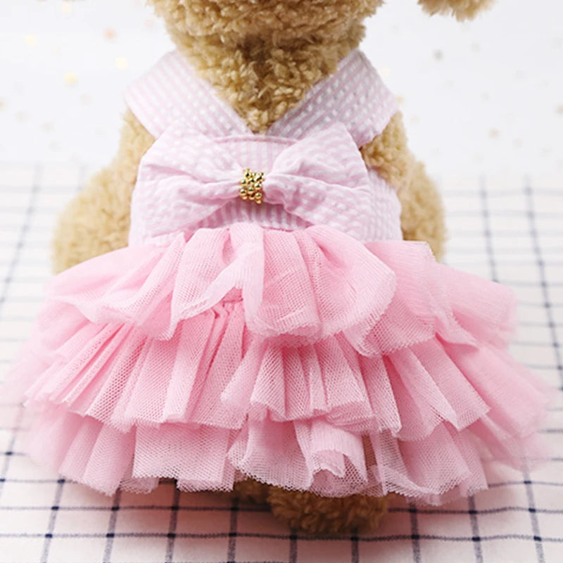 Lace Stripe Princess Dress for Dogs