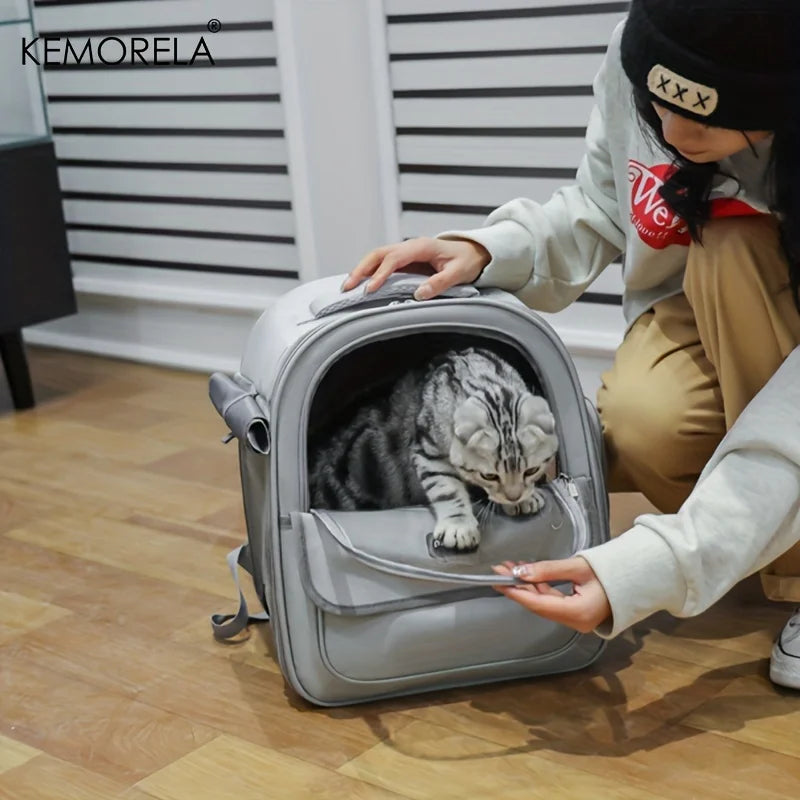 Foldable Mesh Pet Carrier Backpack