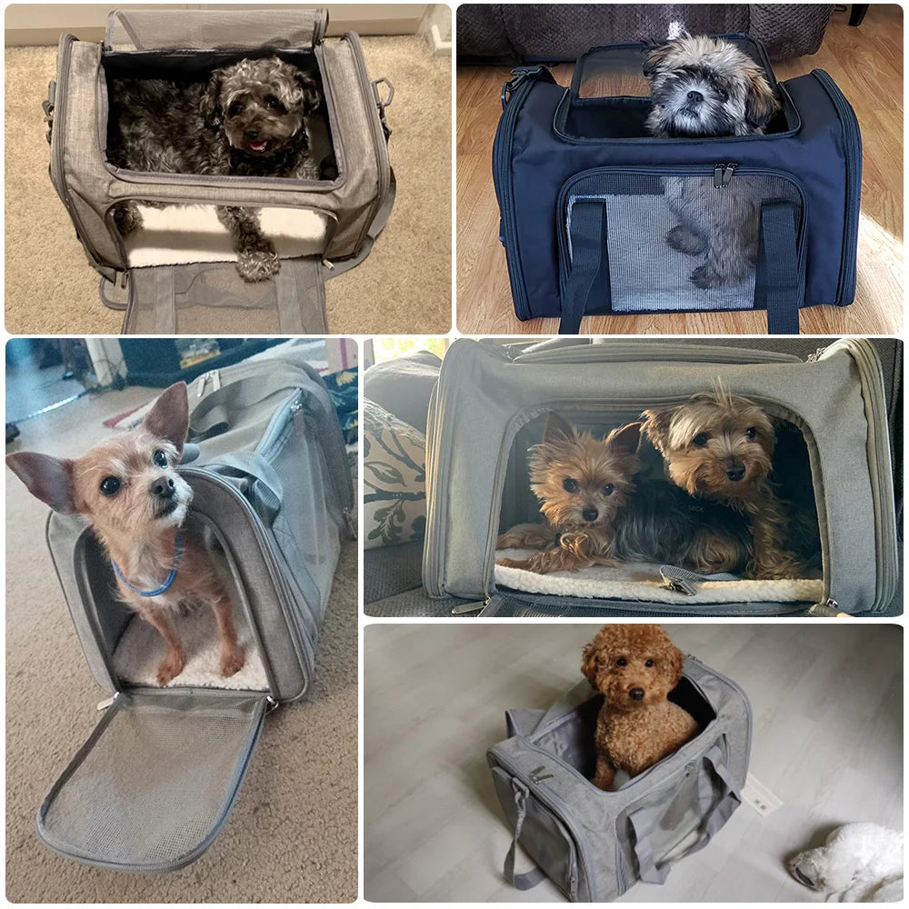 Airline-Approved Soft-Sided Pet Carrier