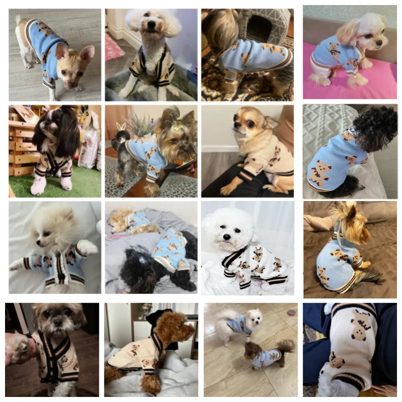 Luxury Striped Cardigan for Chic Pets