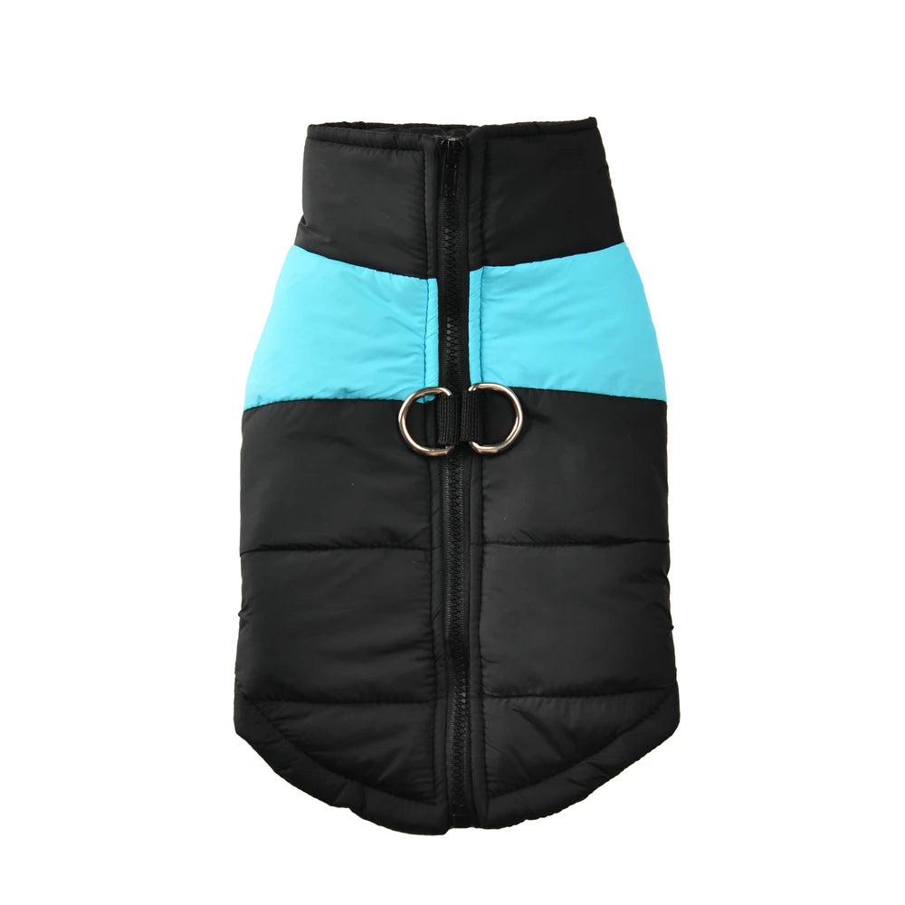Windproof Waterproof Winter Jacket for Dogs