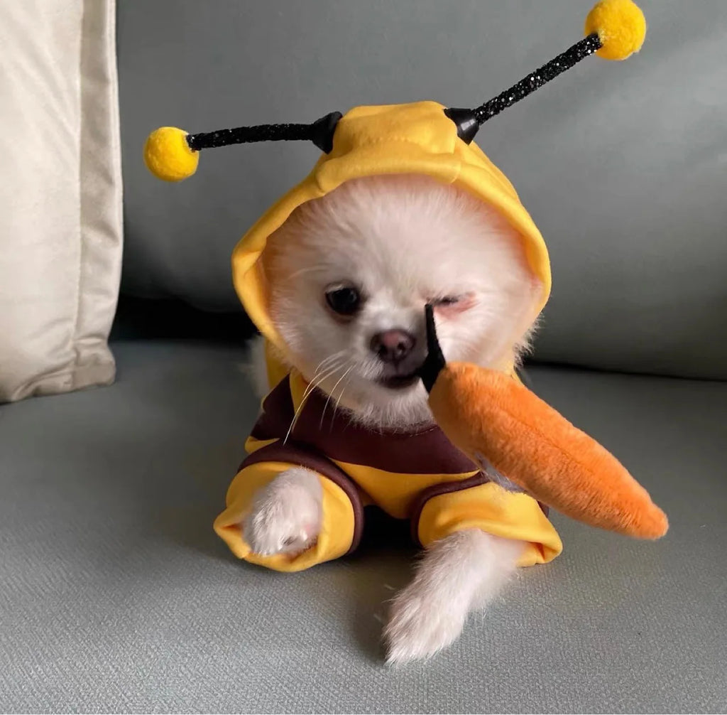 Cute Bee Hoodie Transformation Pet Suit