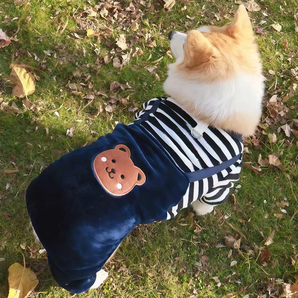 Warm Fleece Jumpsuit with Leash Ring